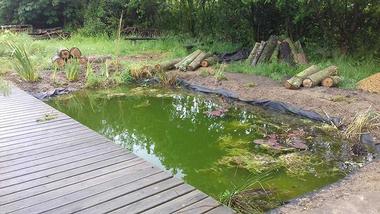 Pond and School Grounds Design in Suffolk  and Norfolk