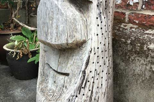 Chainsaw Sculptures in Suffolk and Norfolk | The Wildside gallery image 17