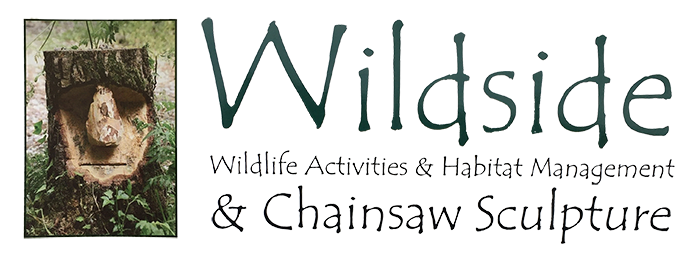 Keep up to date with our latest projects, Wild garden designs and chainsaw sculptures. 