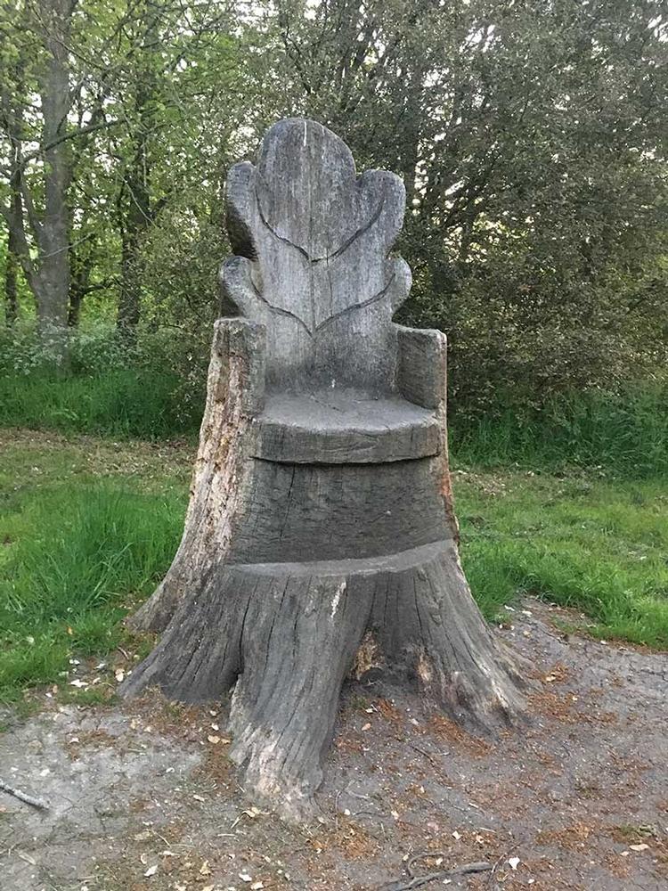 Nature trail sculptures and School Grounds Design in Suffolk  and Norfolk