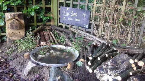 Mini ponds and School Grounds Design in Suffolk  and Norfolk