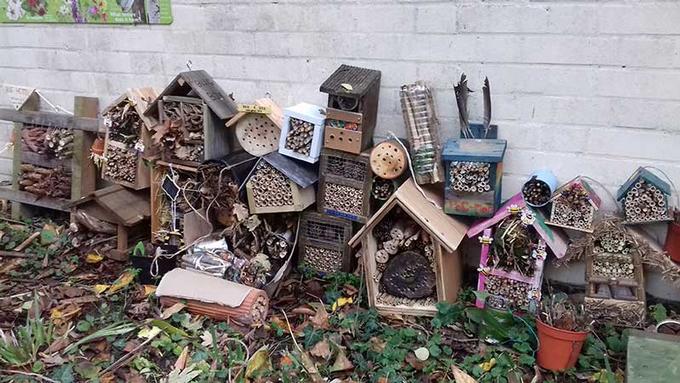 Bug hotel building and School Grounds Design in Suffolk  and Norfolk